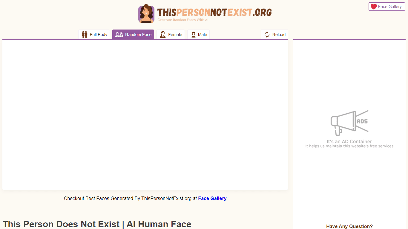 This Person Does Not Exist