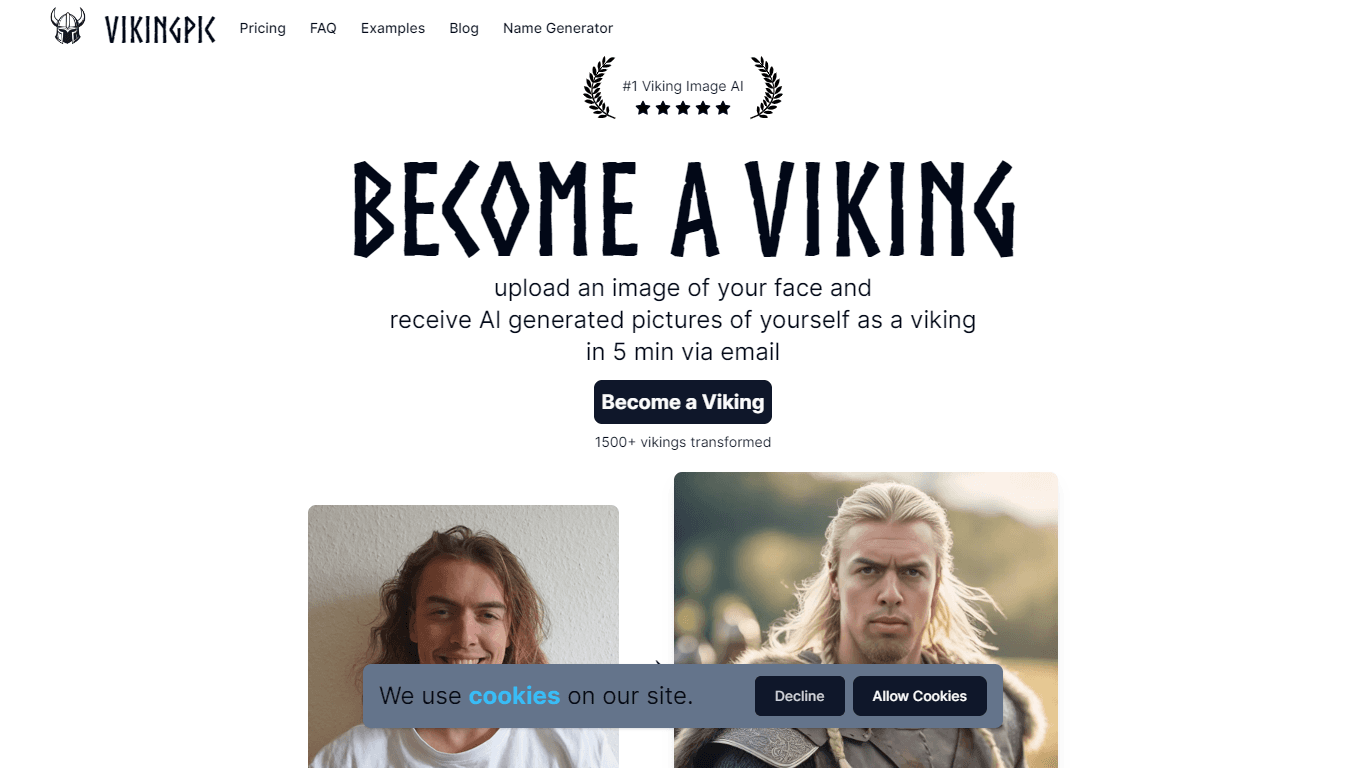VikingPic