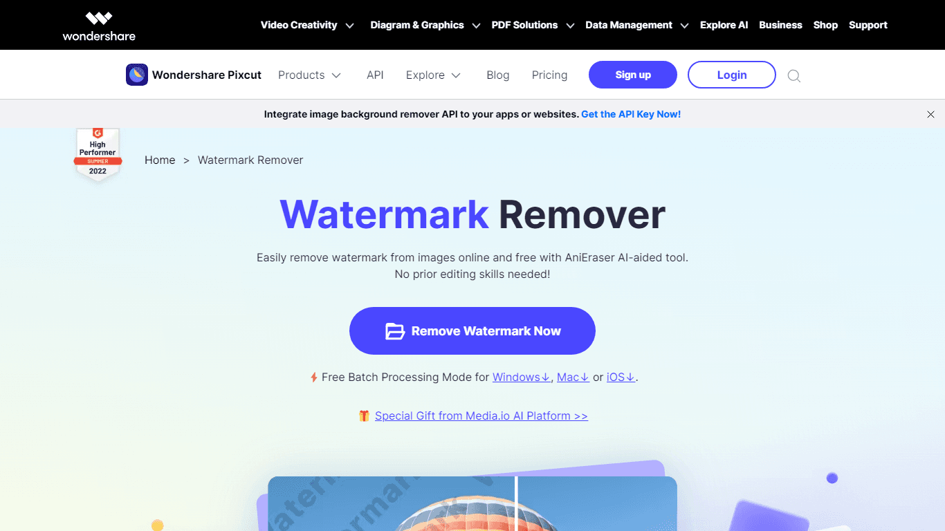 Watermark Remover By Wondorshare