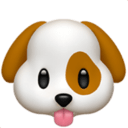AI Named My Pet