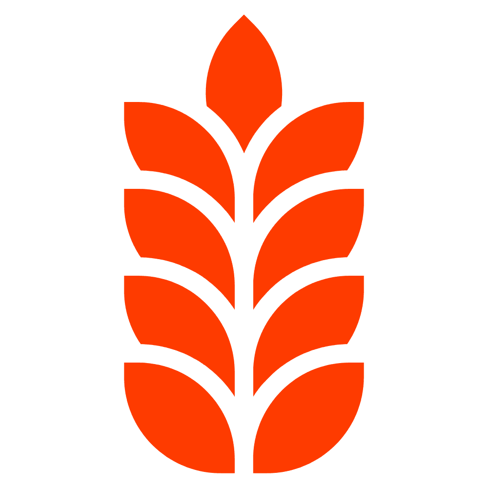 GrainODM