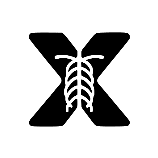 X-ray Interpreter